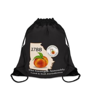 https://the-georgia-assembly.printify.me/product/8277995/just-peachy-the-georgia-assembly-drawstring-bag-brown