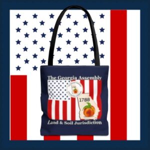 https://the-georgia-assembly.printify.me/product/8279376/peaceful-peach-the-georgia-assembly-tote-bag-navy